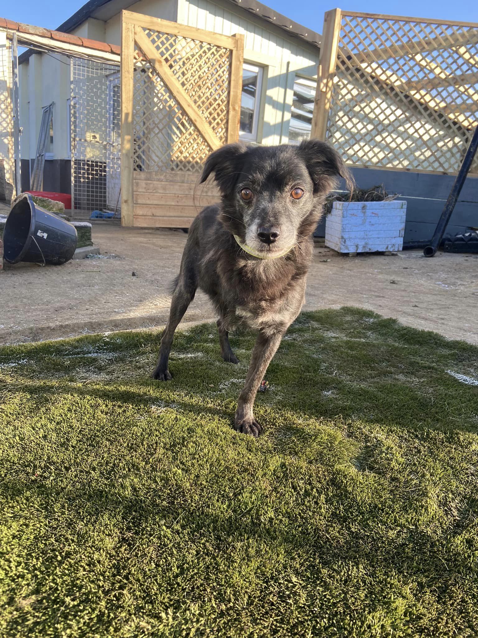 317090802_5599426330154169_1929492452184501497_n