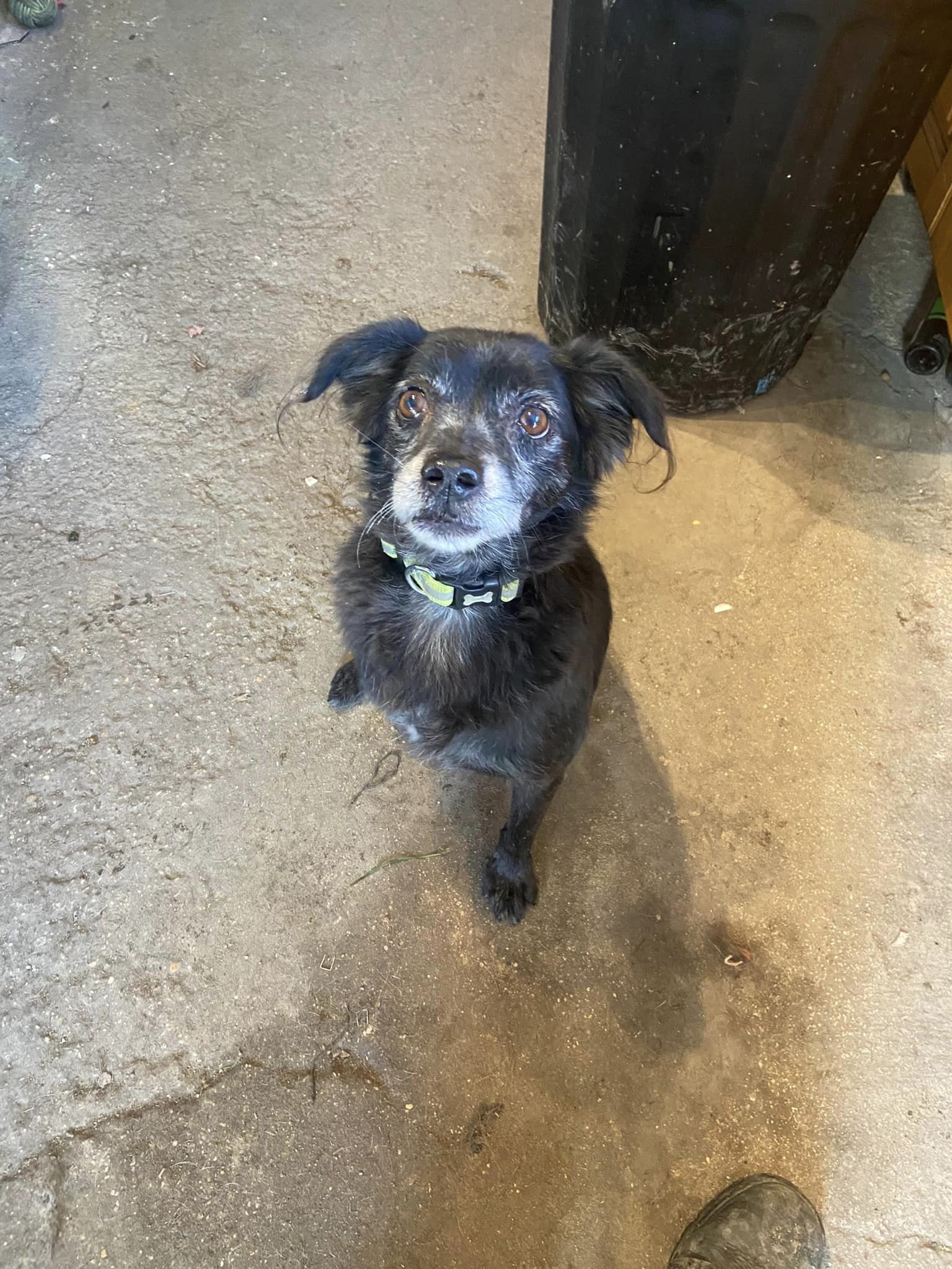 320443066_5749090378516397_8607147994353436121_n