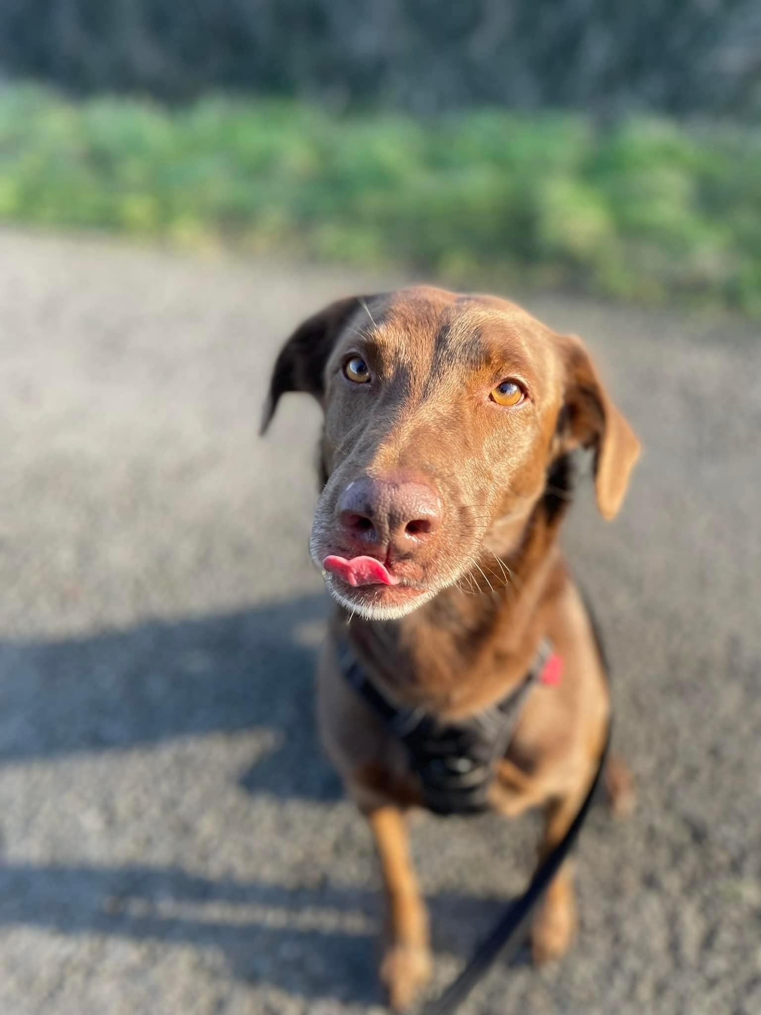 325613930_5877823462335919_8419413676201380517_n