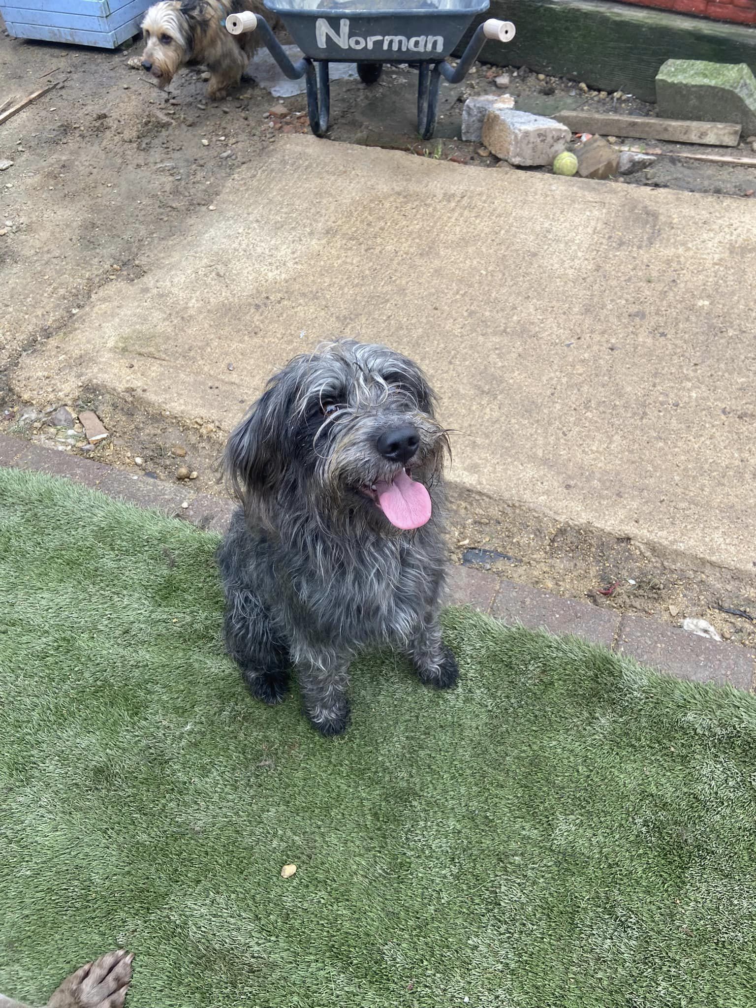 324739348_904667980959971_3054607591563494138_n