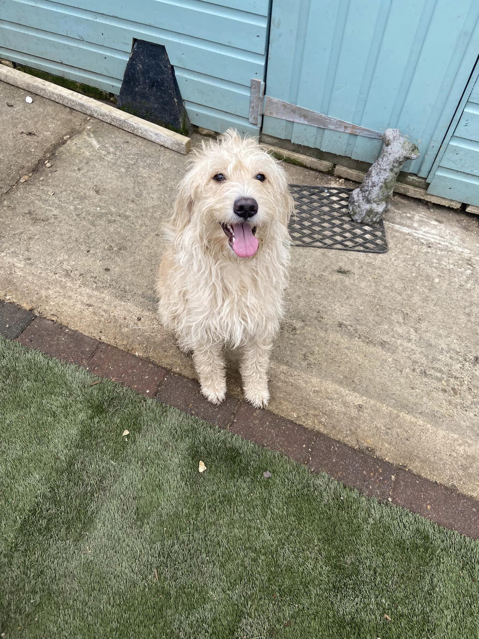 324892784_504947025115613_2497209435006731501_n