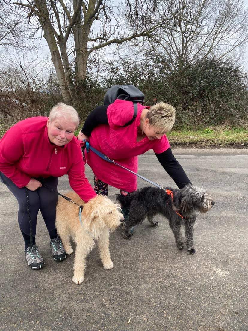 328786537_745420976949810_2813492241890700070_n (1)