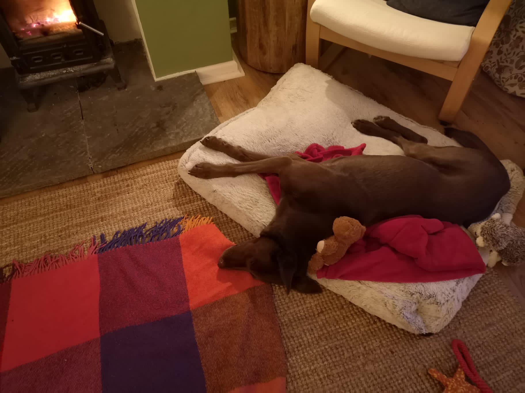 331757738_3573130286250402_2151631761567943097_n