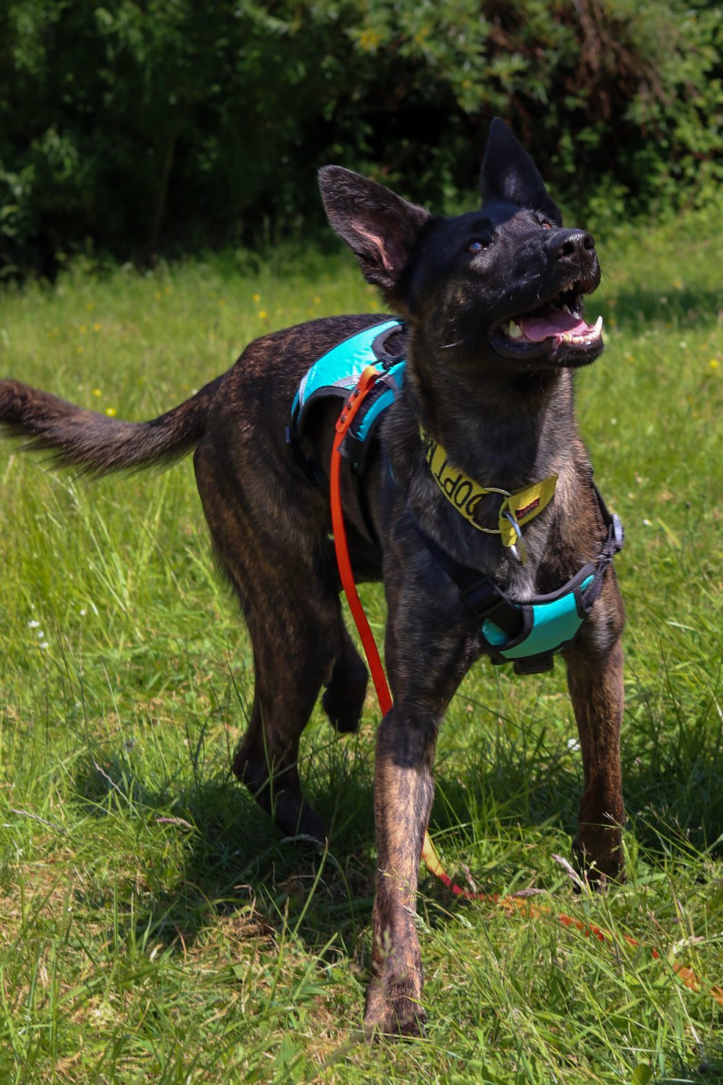 347598715_1372149346901503_2048987870179946974_n