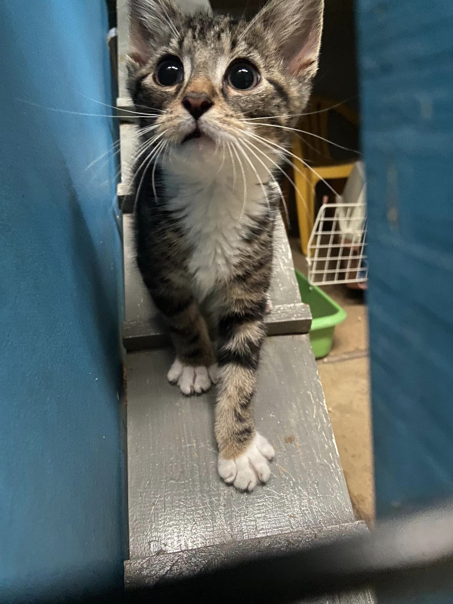 355688132_817452046534776_5729243788609653831_n