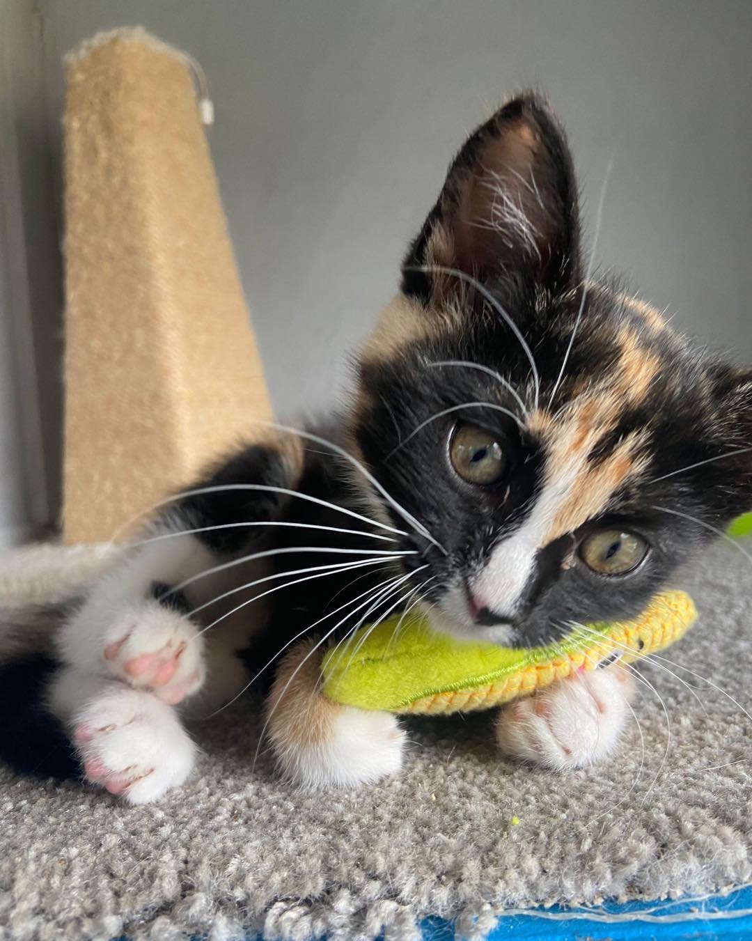 356813692_818592509754063_2184435828375901365_n