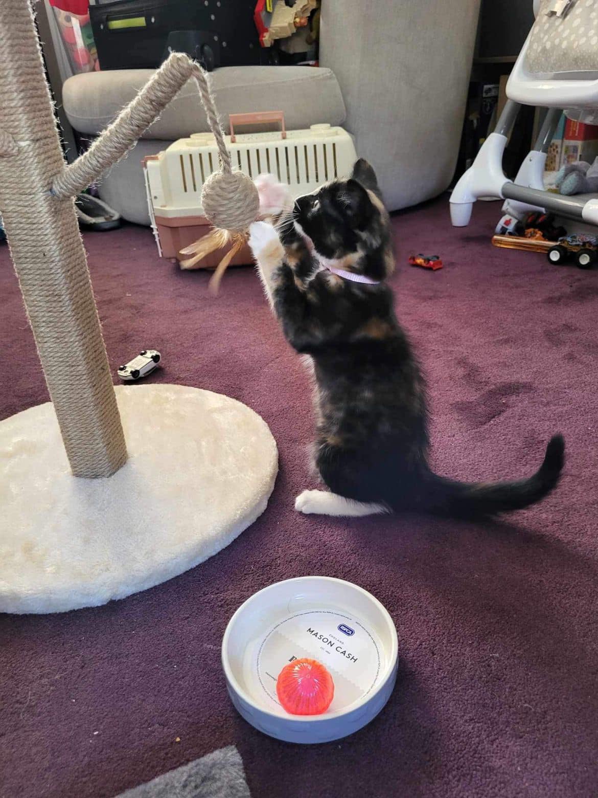 357690379_820737232872924_3696358790042816882_n