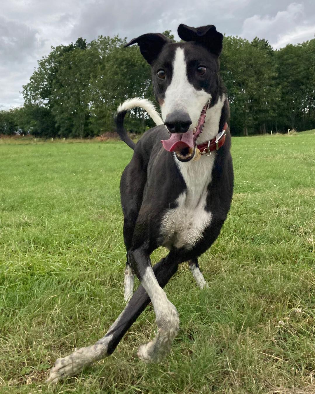 362209769_833096358303678_2485616692016259709_n