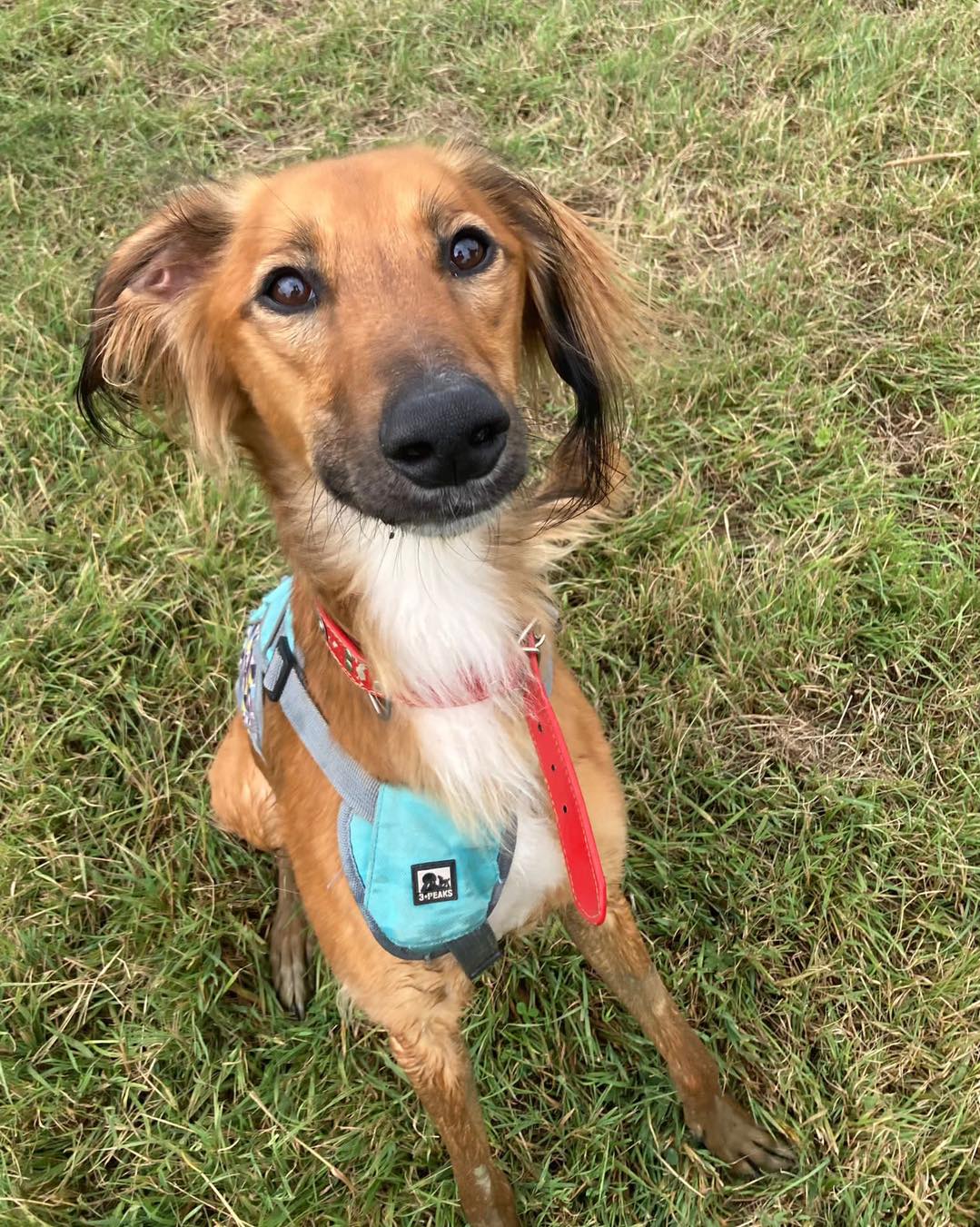 362266740_833096368303677_5720692557600621881_n