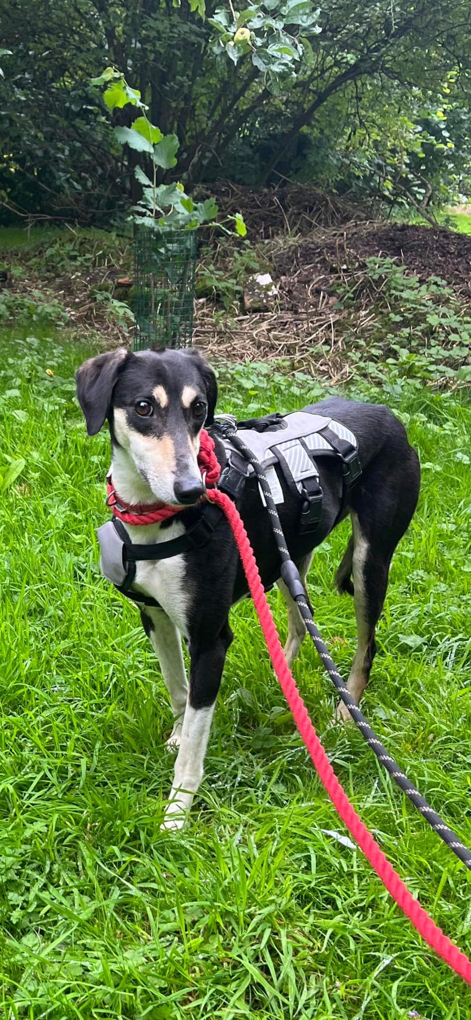 362946774_839946180952029_4935751578881969050_n