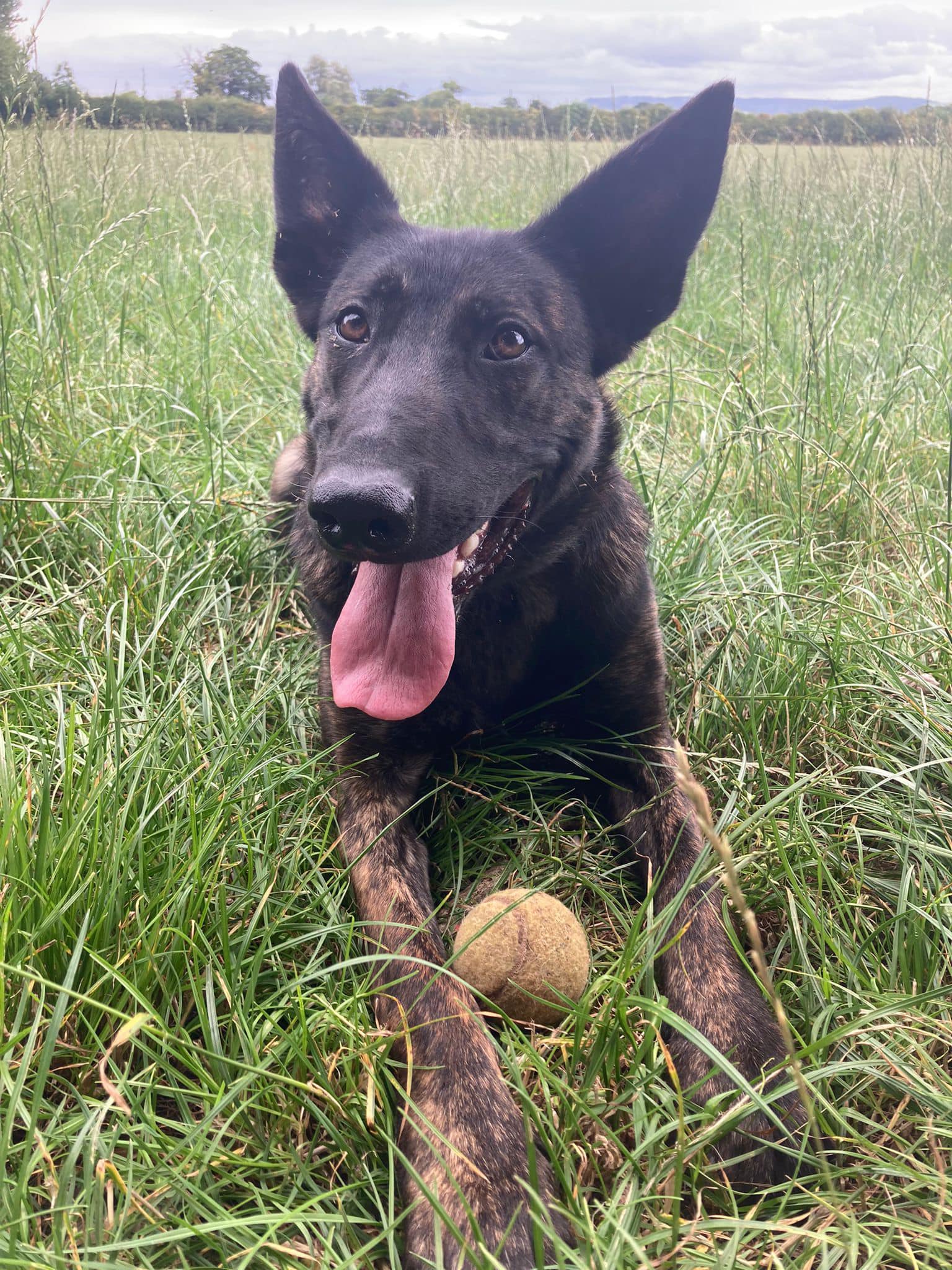 363383980_838054301141217_2256501028983644696_n