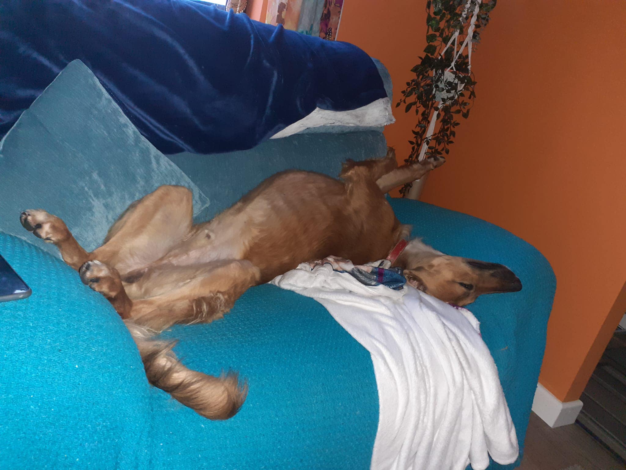 364173015_839434471003200_6453776266024974031_n