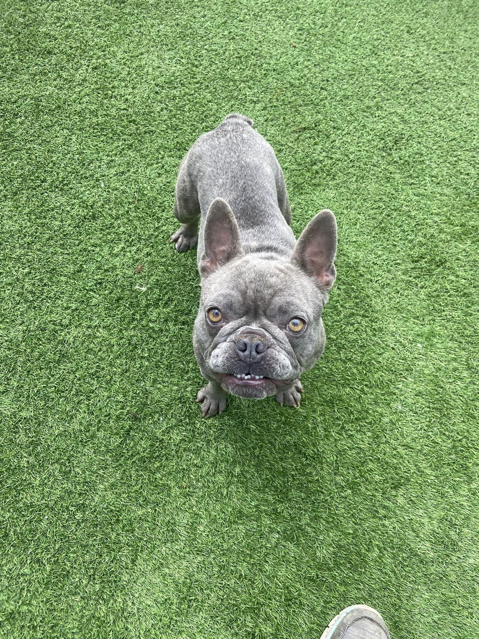 367677789_849091093370871_1189259344565379531_n