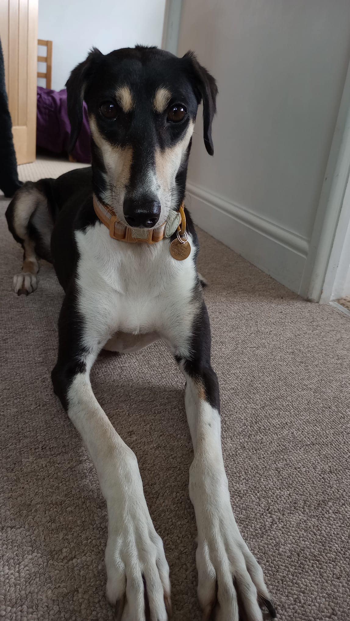 374768751_860924402187540_1524441433085435926_n