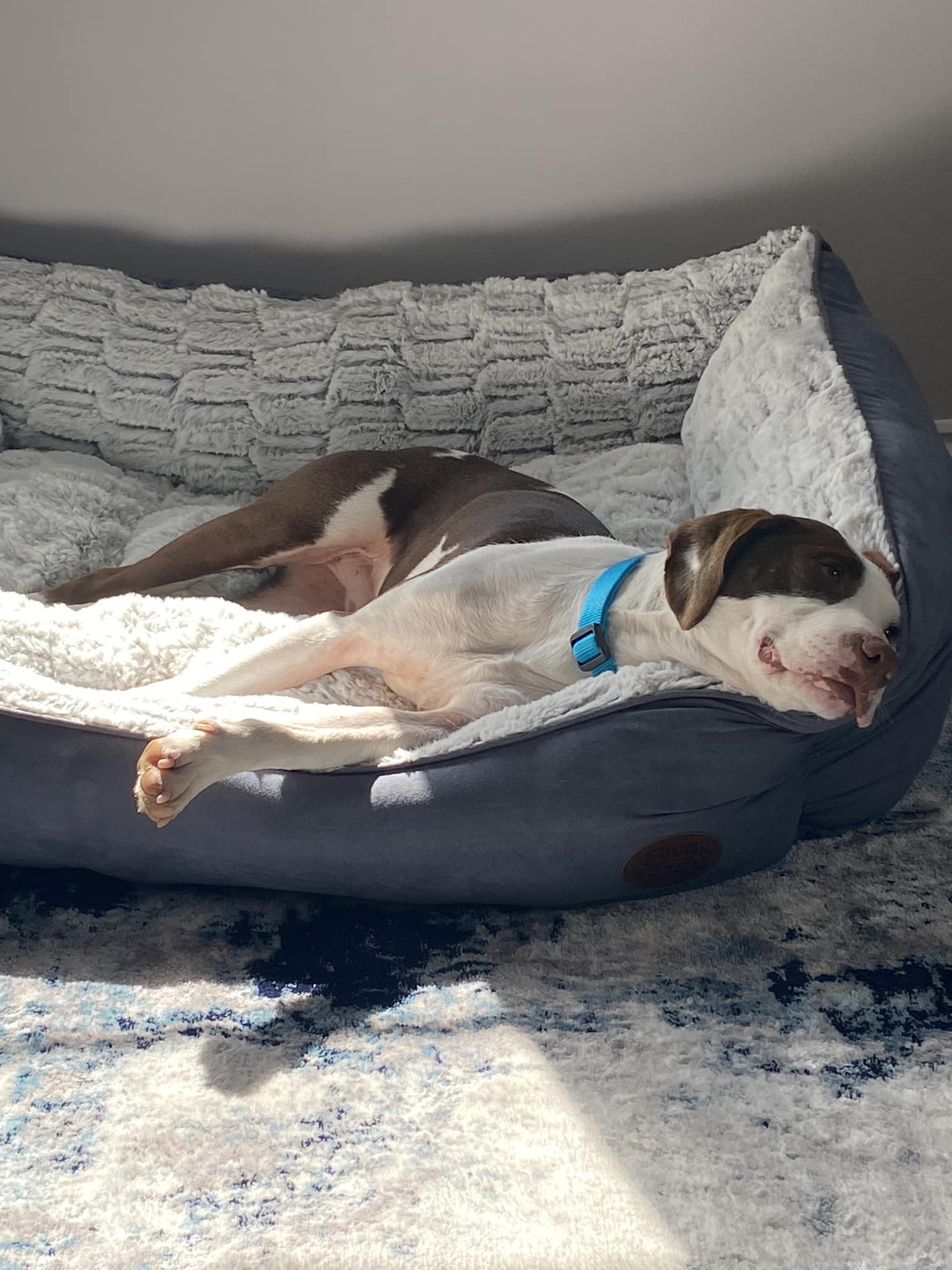 374777212_861538422126138_798487881539797200_n