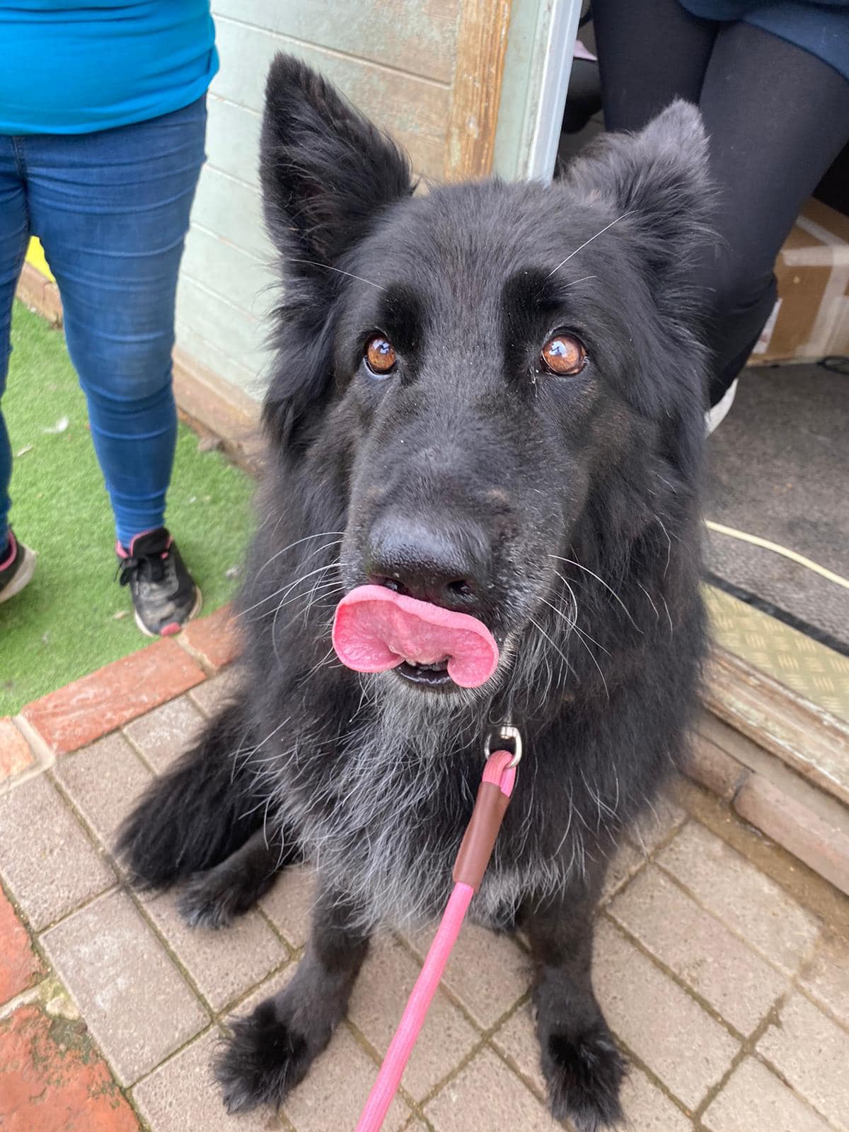 383354110_882524783360835_354661493882853259_n