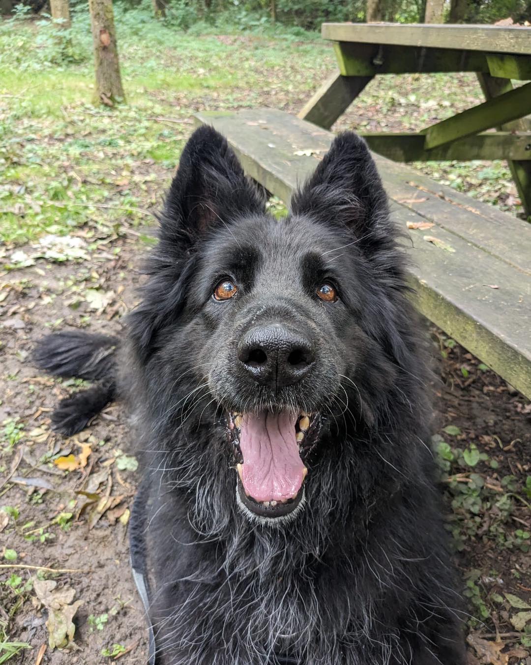 385690746_879798730300107_7236605982585962862_n