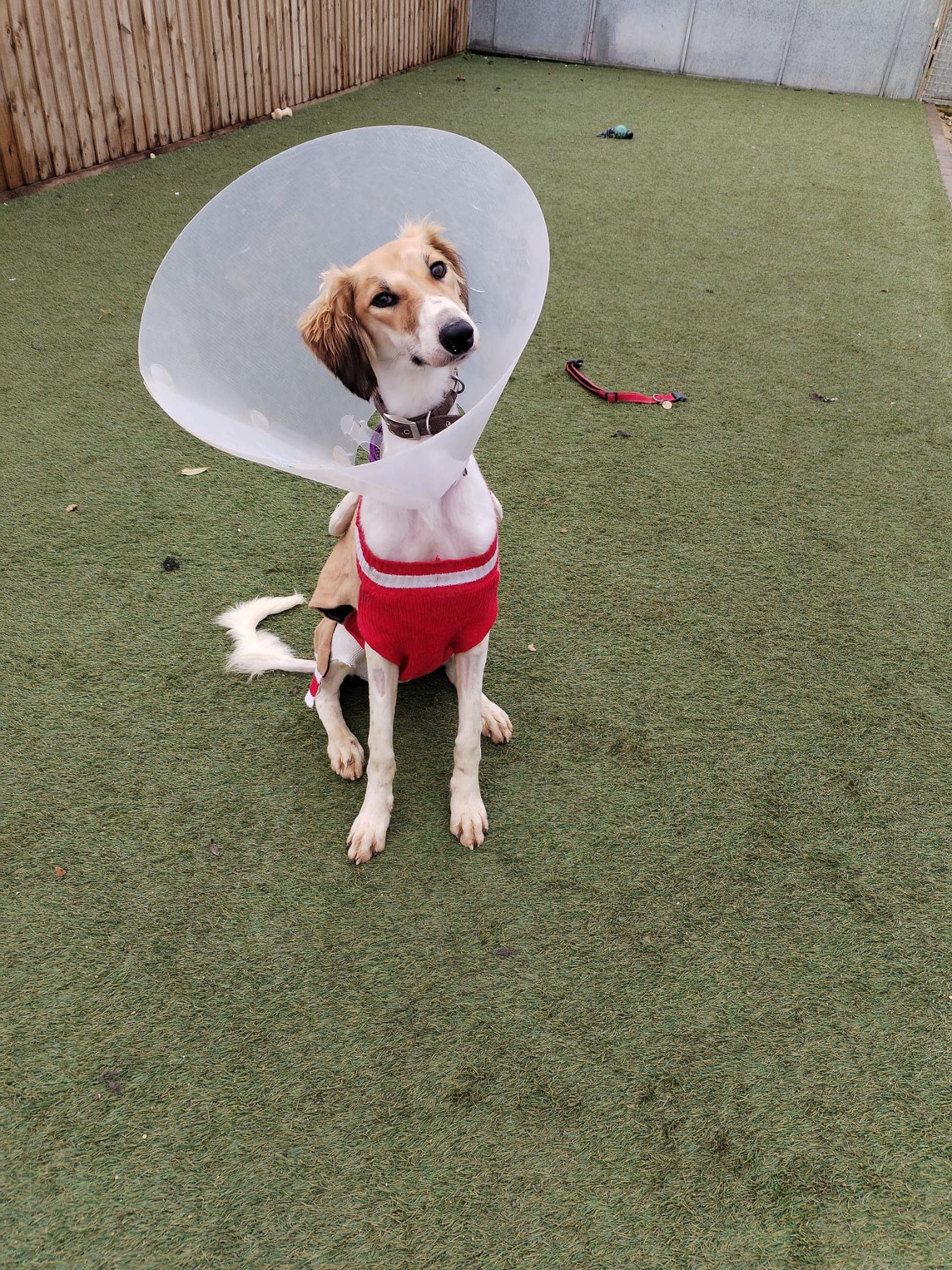 399849085_908401627439817_5554843386910679811_n