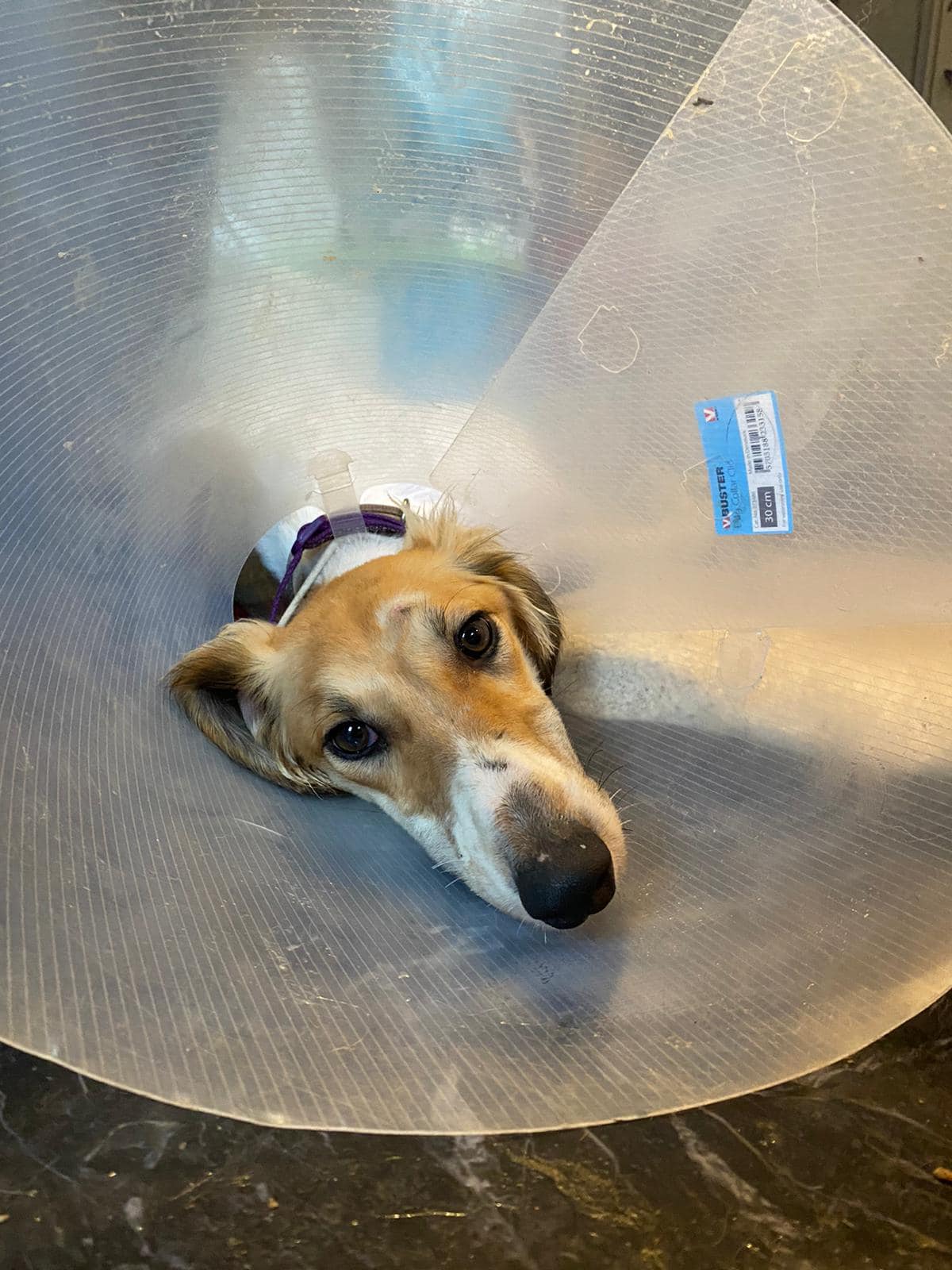 399864991_907089874237659_4764496679297369856_n