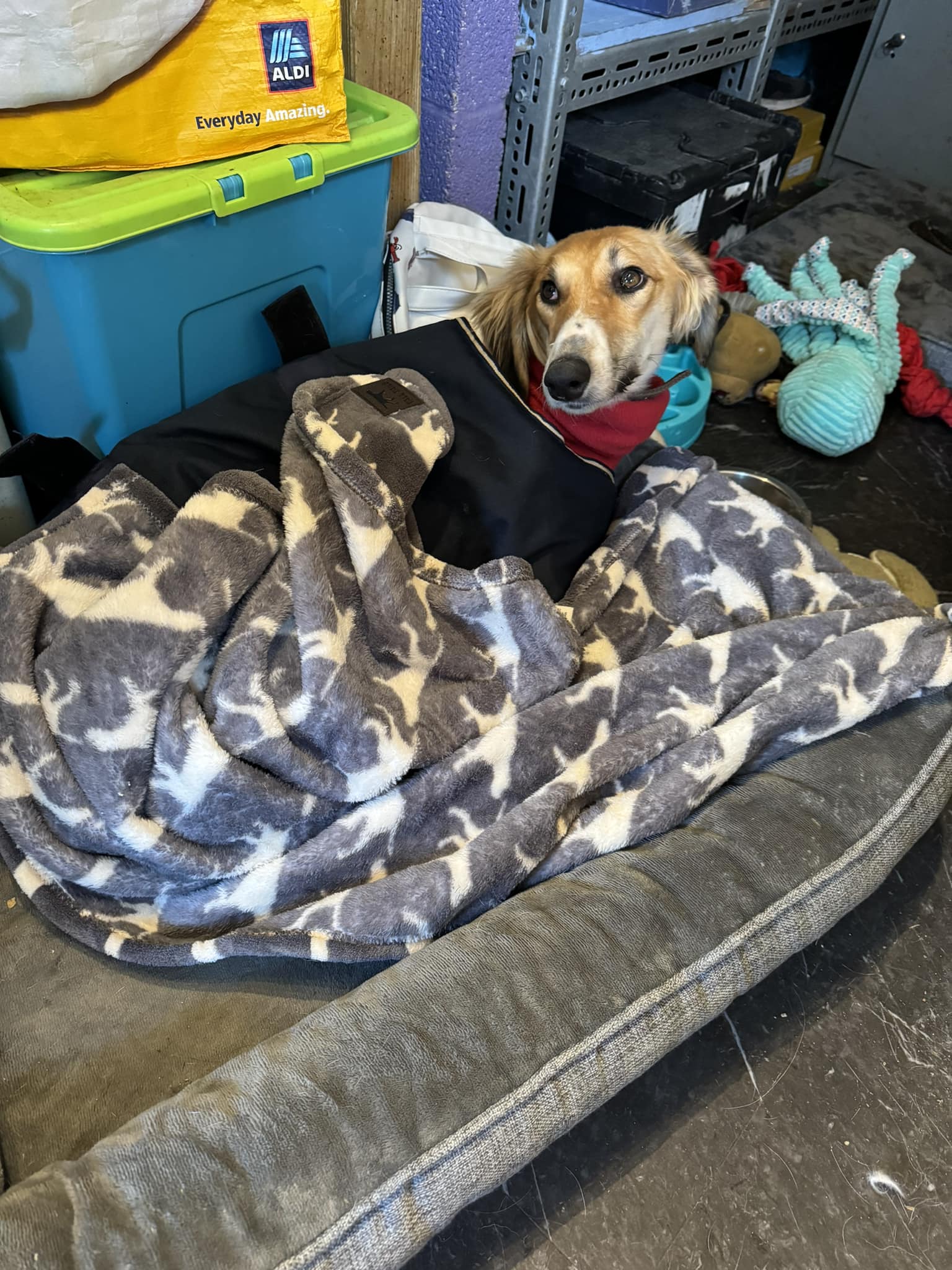 407715054_921848932761753_3306775008315335485_n