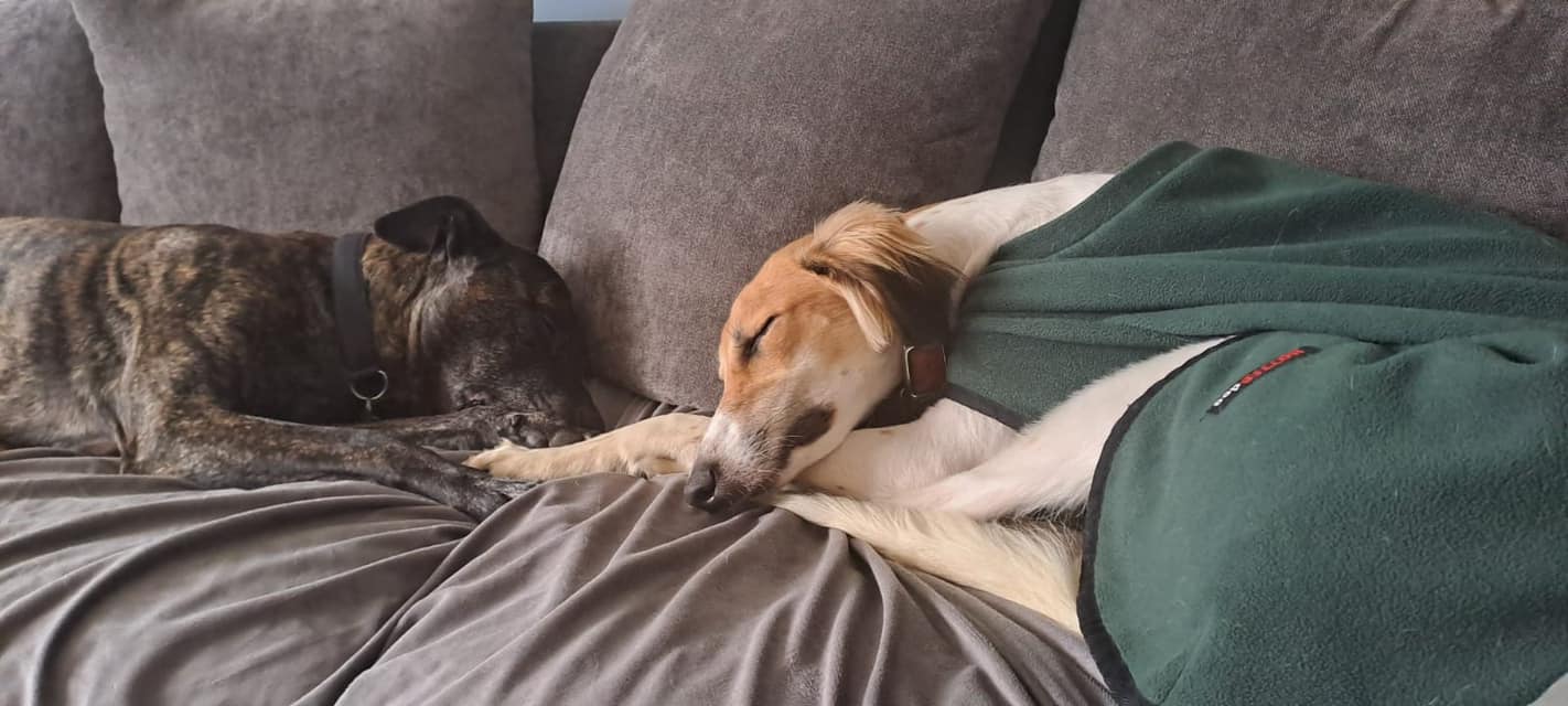 424585005_973922044221108_848133136846274965_n