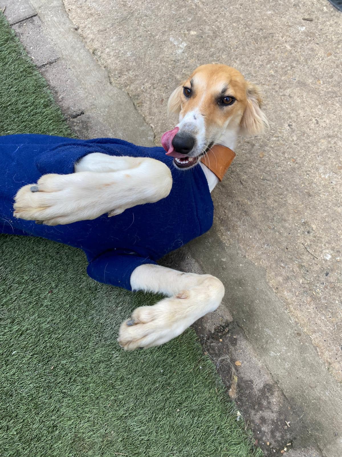 424607545_965962351683744_4710906376481537332_n