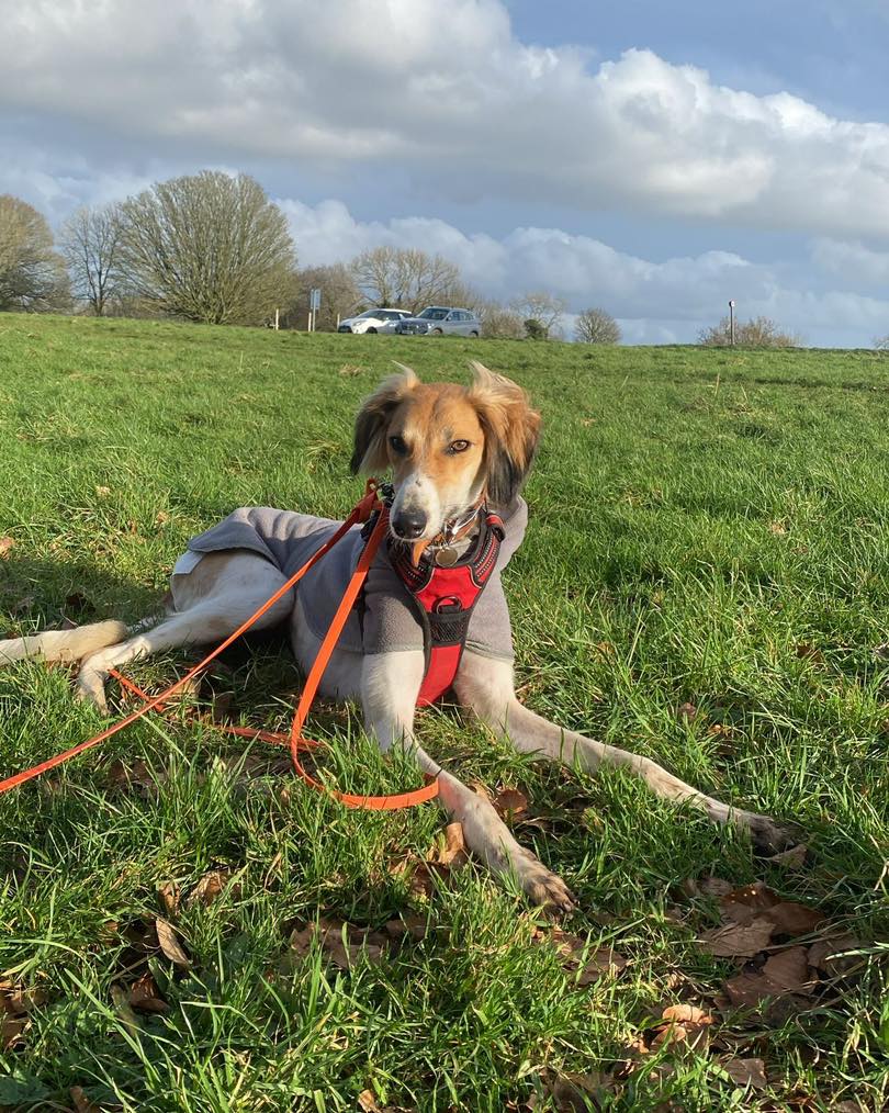 424958254_969157454697567_257981121742974905_n