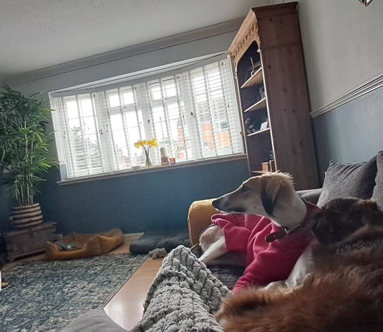 424976628_979010043712308_5909145295764323776_n