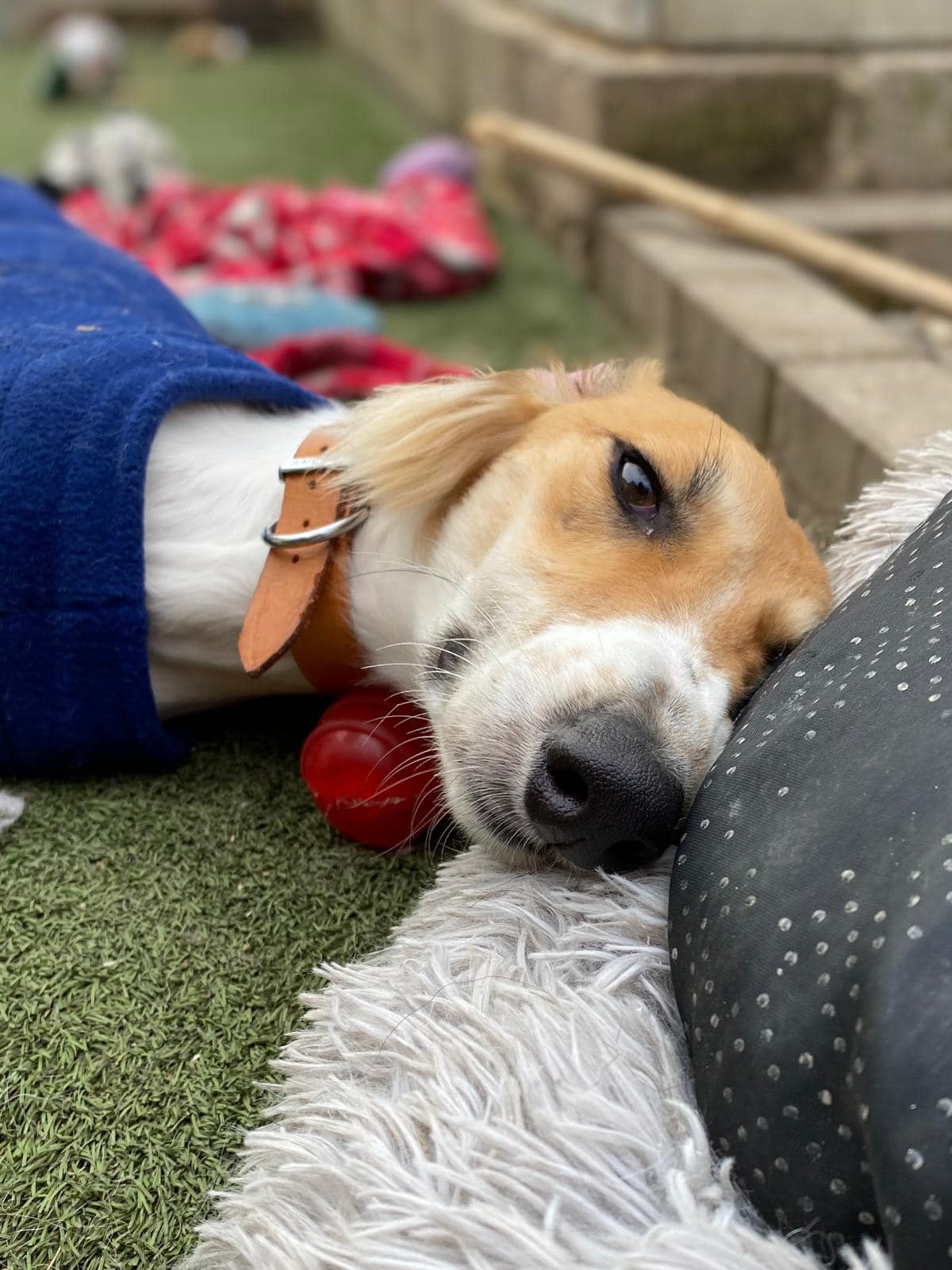 425622976_964115285201784_9170701480576528636_n