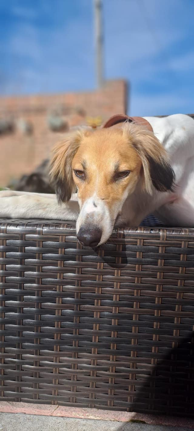 431081890_984802443133068_133990024462998455_n