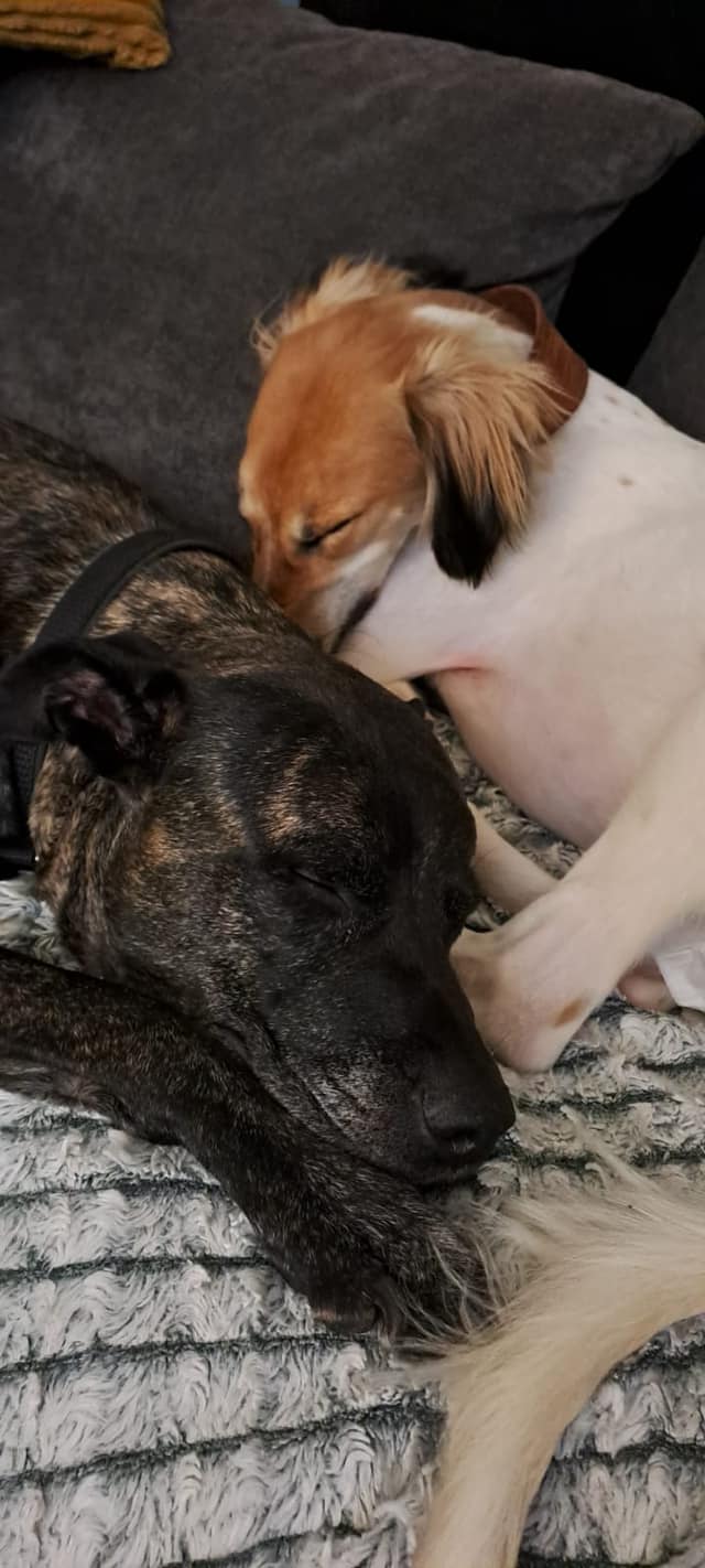 431096092_985558393057473_2851091409599223174_n