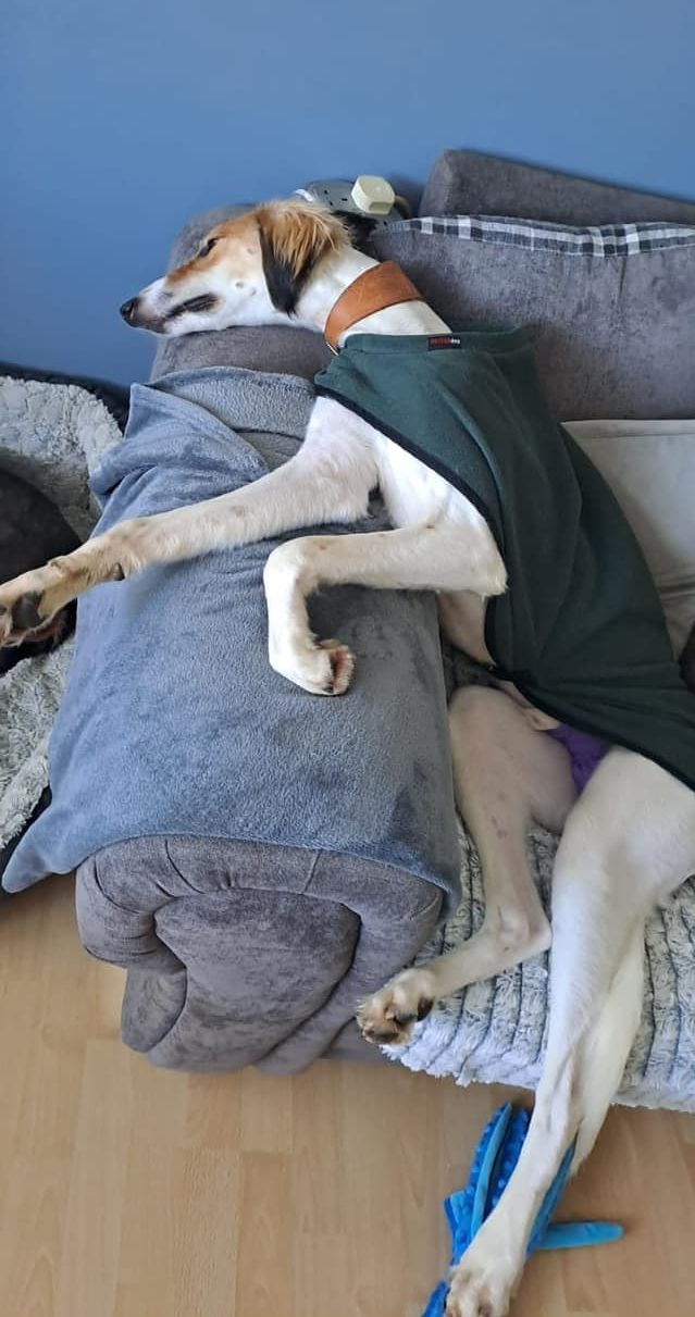 431173451_983466483266664_7420162893580063585_n