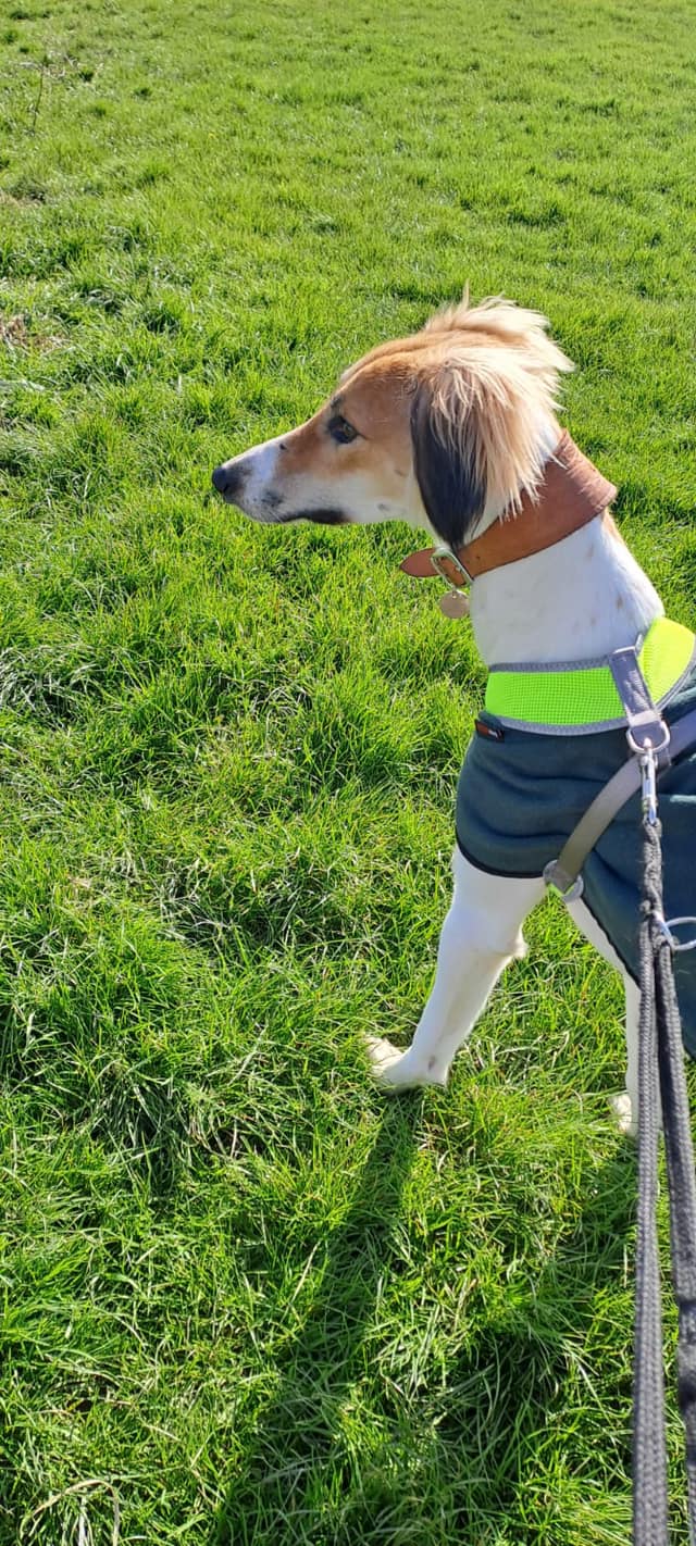 431499463_985558413057471_3588565954765467593_n