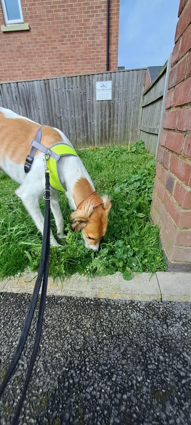 433942330_1006779460935366_5414144080032711573_n