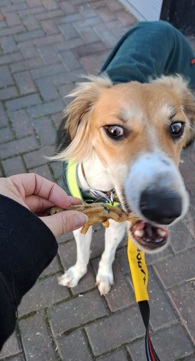 433959015_1004865647793414_56784650937302084_n