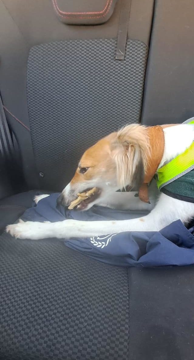 434032357_1004865537793425_2686376436281450838_n