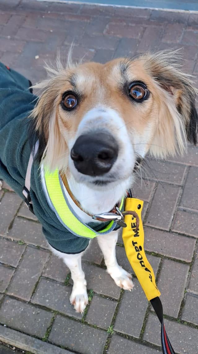 434073061_1004865571126755_315633091729272016_n