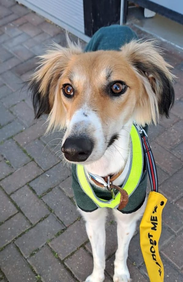 434073981_1002587788021200_2275226350382570500_n