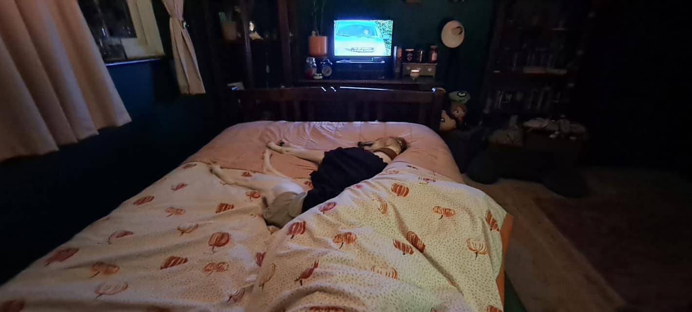 434164840_1006779457602033_6522320336363444148_n