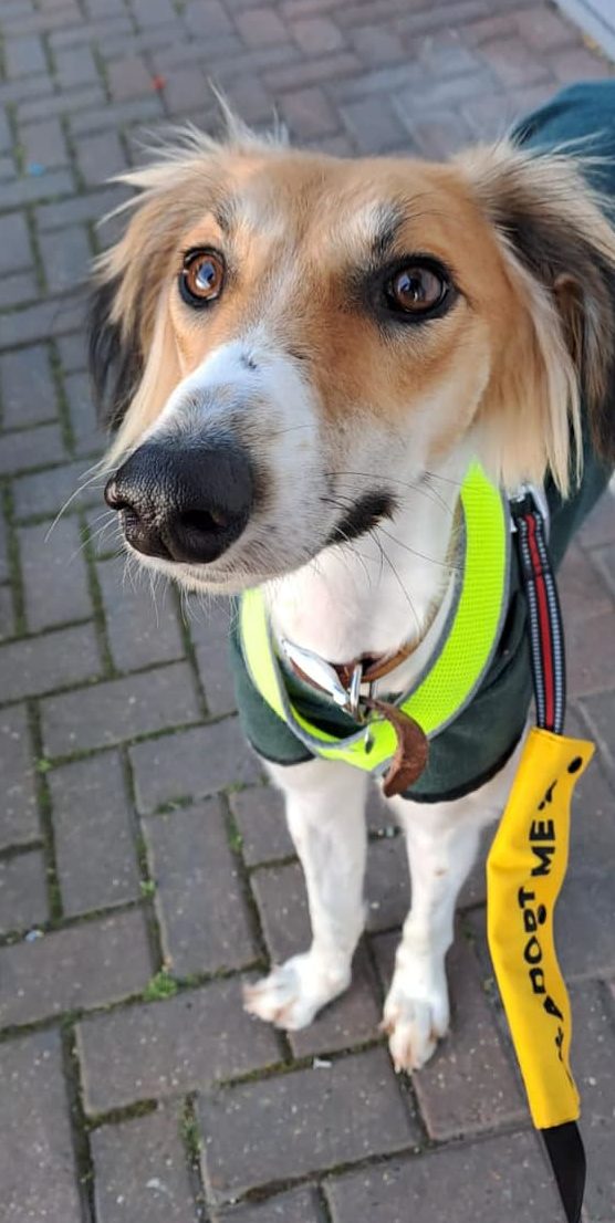 434427135_1002587798021199_6883230995853901661_n