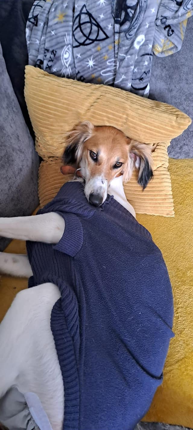 434463309_1004865594460086_4993007303381063663_n