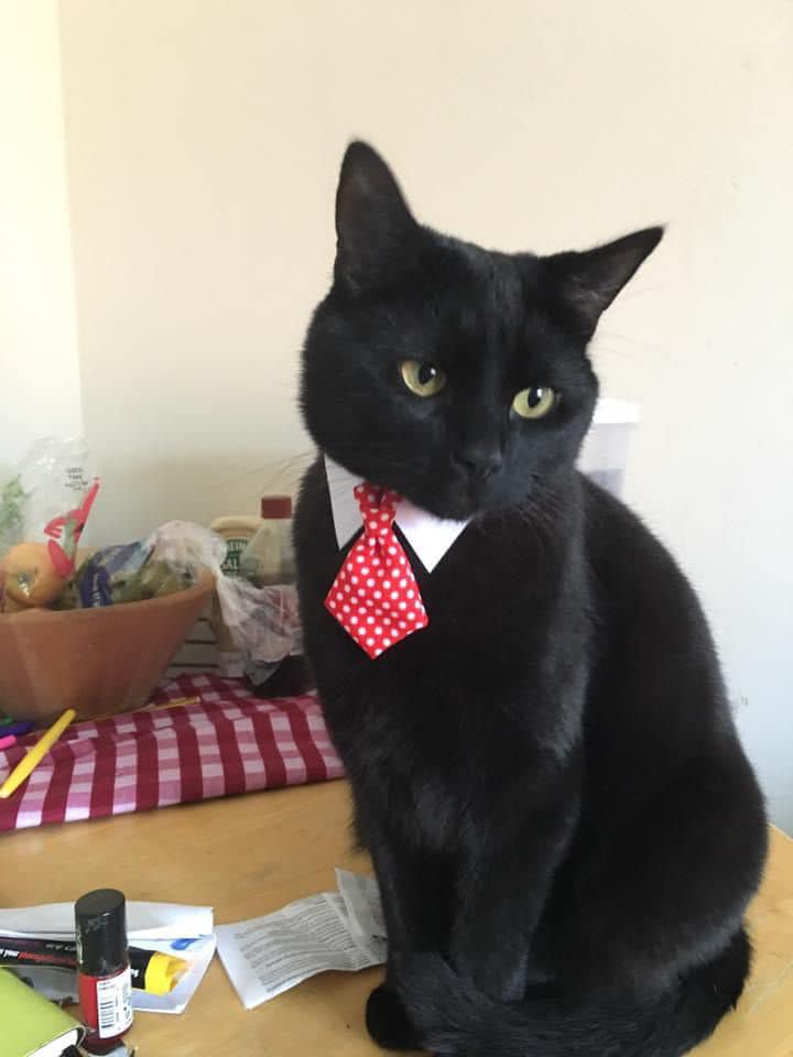 437376797_1014778633468782_6301333713733060366_n