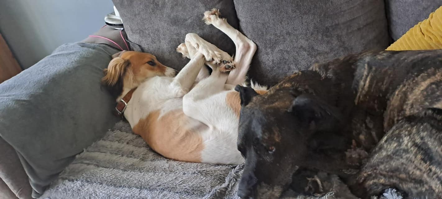 437584266_1016319943314651_1238291055241433163_n