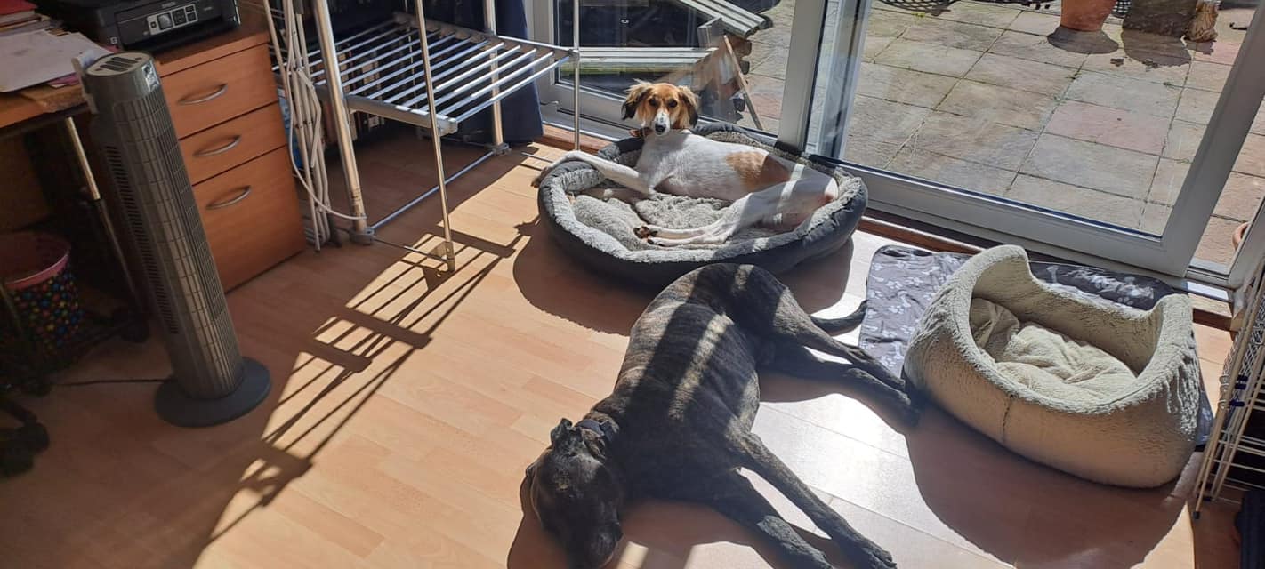 437590311_1016320019981310_8470701552429786744_n