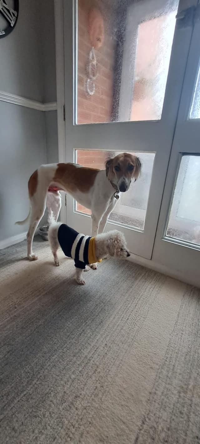 437723642_1021845556095423_6828256900211062222_n