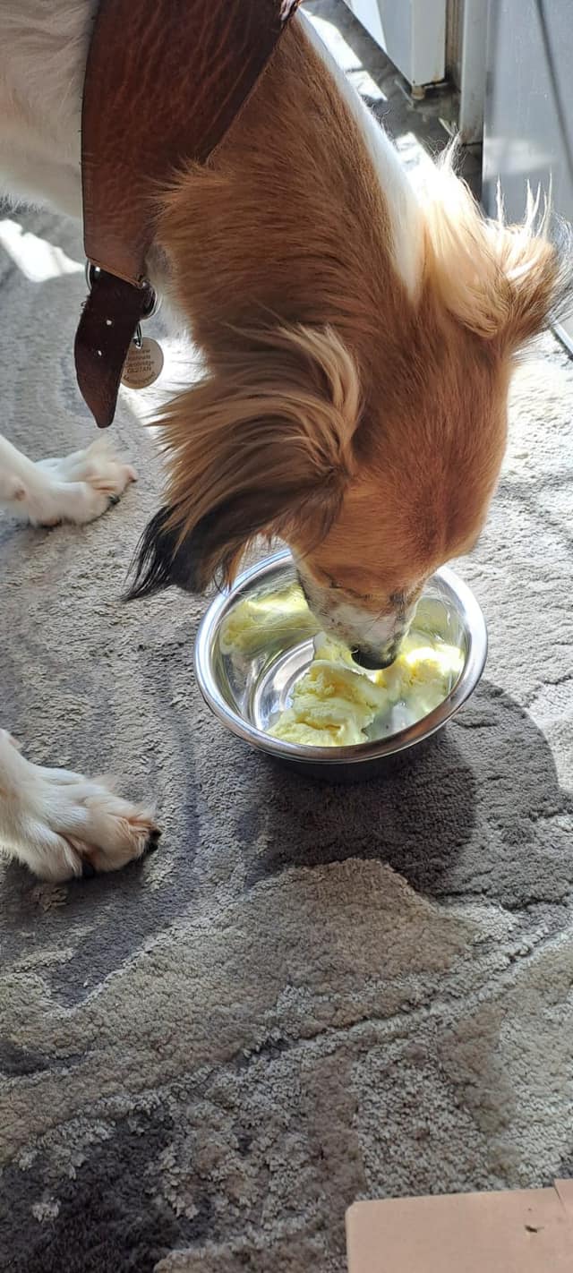 437737824_1017580466521932_1319826684834273477_n