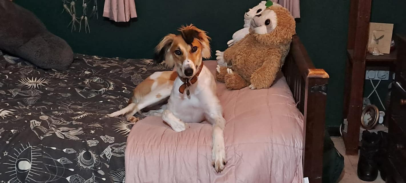 438059801_1019087679704544_8552586746017856745_n