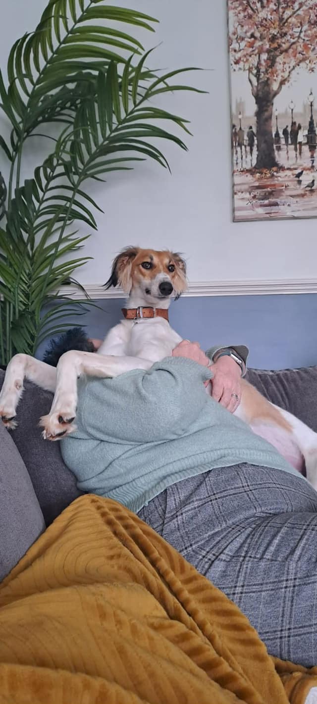 438087138_1016319949981317_5153545773589442691_n