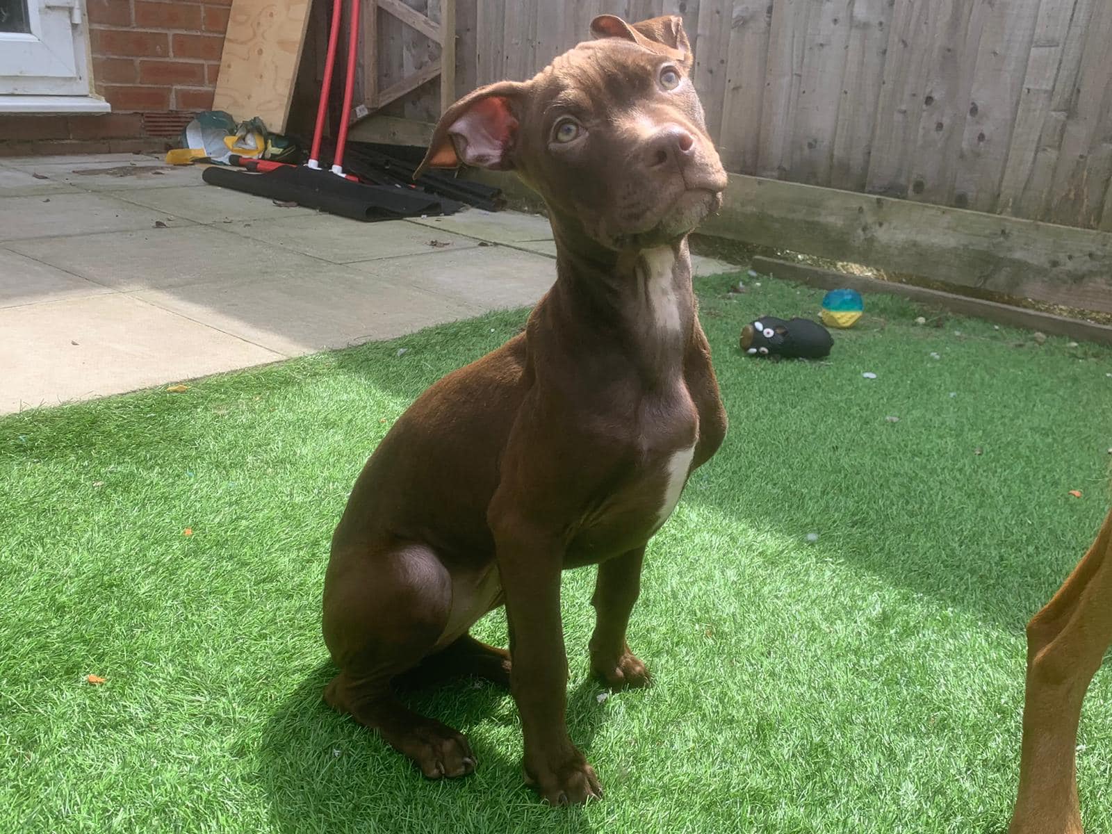 438129195_1024046359208676_439941513816849941_n