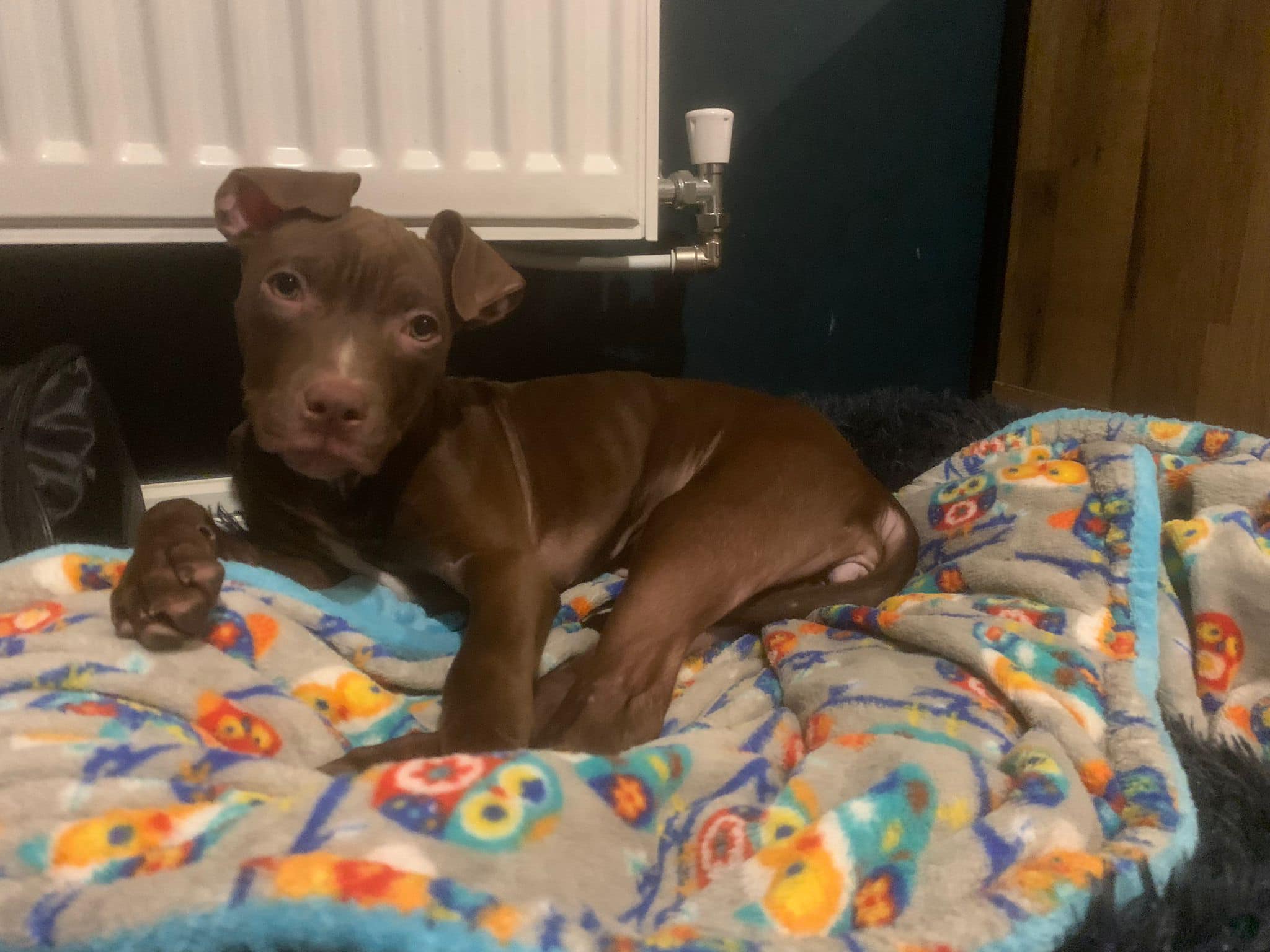 438171454_1021547586125220_4497092830755842138_n